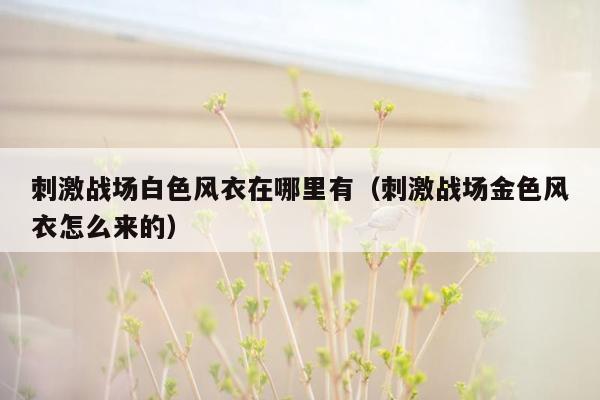 刺激战场白色风衣在哪里有（刺激战场金色风衣怎么来的）