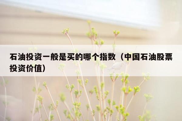 石油投资一般是买的哪个指数（中国石油股票投资价值）
