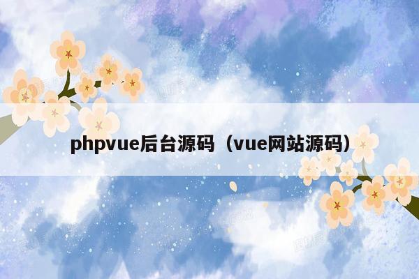 phpvue后台源码（vue网站源码）