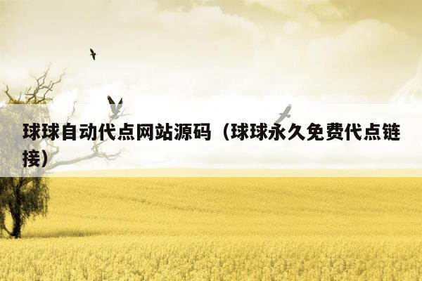 球球自动代点网站源码（球球永久免费代点链接）