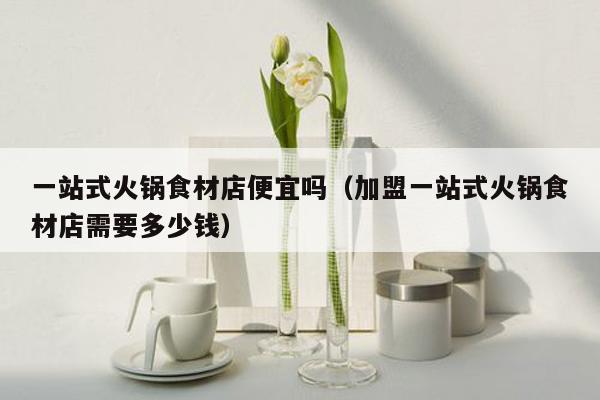 一站式火锅食材店便宜吗（加盟一站式火锅食材店需要多少钱）