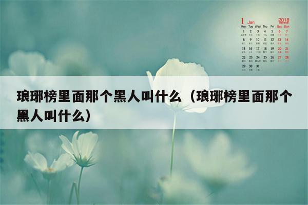 琅琊榜里面那个黑人叫什么（琅琊榜里面那个黑人叫什么）