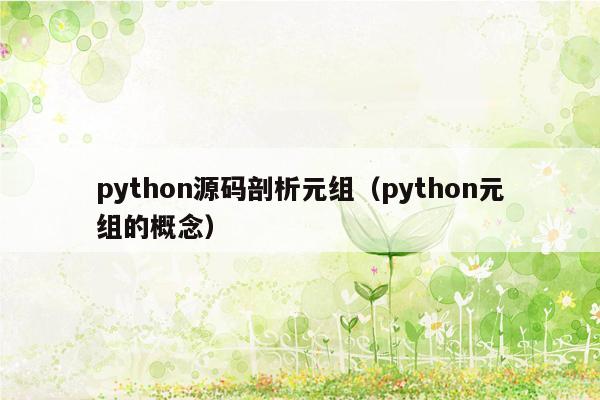 python源码剖析元组（python元组的概念）