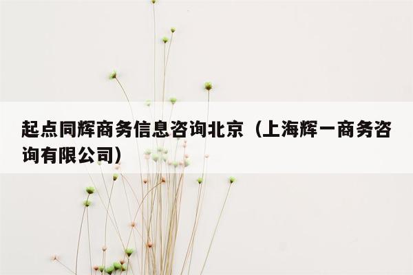 起点同辉商务信息咨询北京（上海辉一商务咨询有限公司）