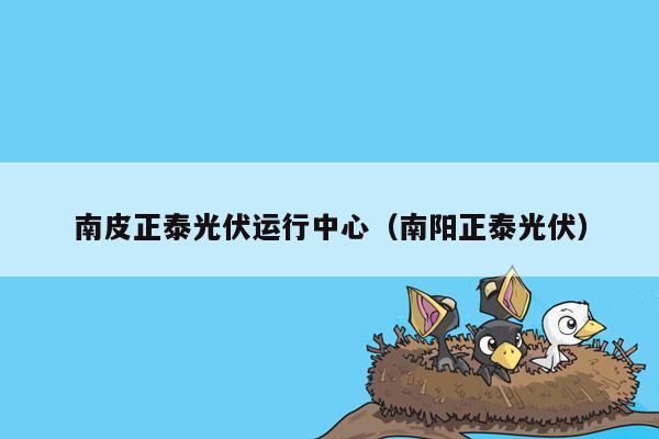 南皮正泰光伏运行中心（南阳正泰光伏）