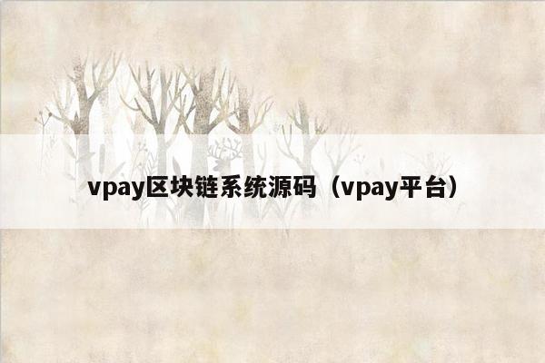 vpay区块链系统源码（vpay平台）