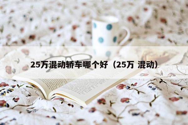 25万混动轿车哪个好（25万 混动）