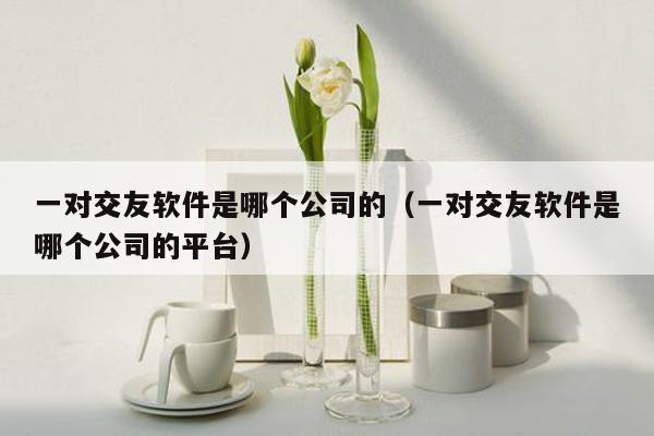 一对交友软件是哪个公司的（一对交友软件是哪个公司的平台）