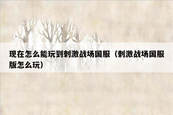现在怎么能玩到刺激战场国服（刺激战场国服版怎么玩）