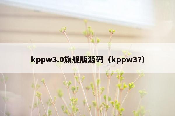 kppw3.0旗舰版源码（kppw37）