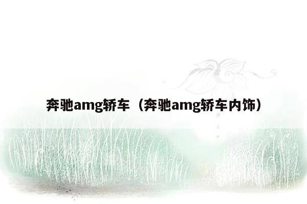 奔驰amg轿车（奔驰amg轿车内饰）
