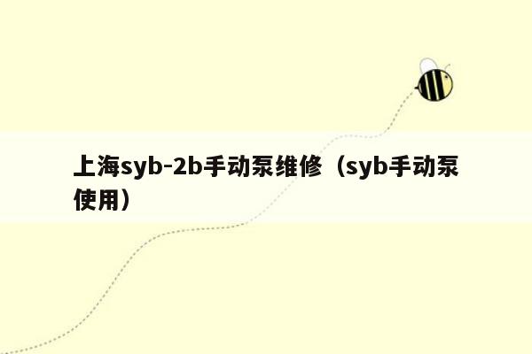 上海syb-2b手动泵维修（syb手动泵使用）