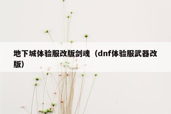 地下城体验服改版剑魂（dnf体验服武器改版）