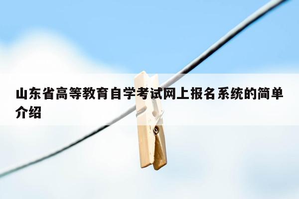 山东省高等教育自学考试网上报名系统的简单介绍