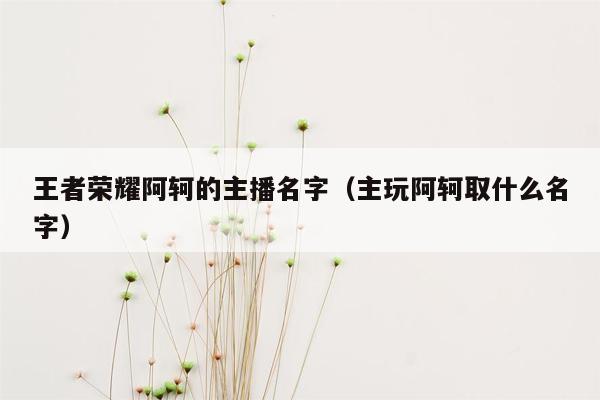 王者荣耀阿轲的主播名字（主玩阿轲取什么名字）