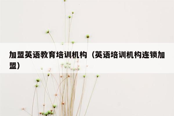 加盟英语教育培训机构（英语培训机构连锁加盟）