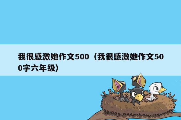 我很感激她作文500（我很感激她作文500字六年级）