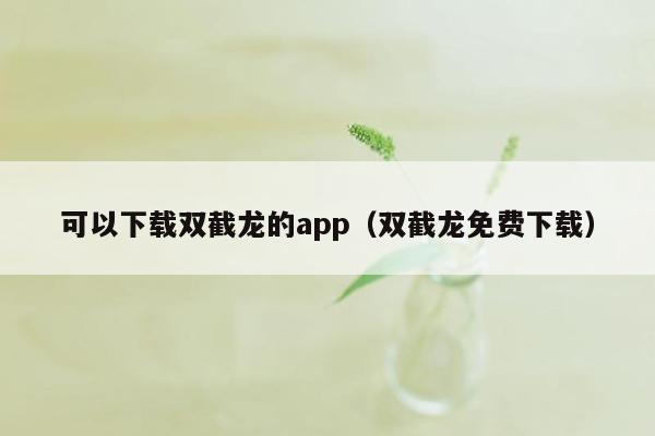 可以下载双截龙的app（双截龙免费下载）