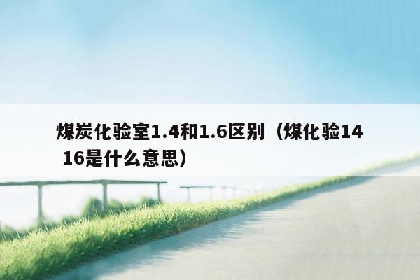 煤炭化验室1.4和1.6区别（煤化验14 16是什么意思）