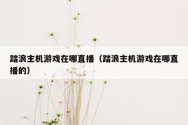 踏浪主机游戏在哪直播（踏浪主机游戏在哪直播的）