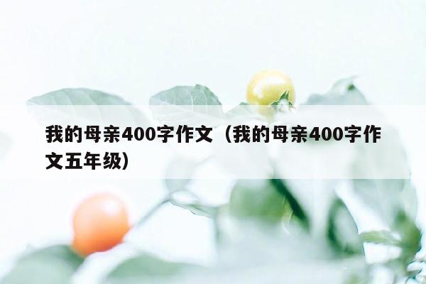 我的母亲400字作文（我的母亲400字作文五年级）