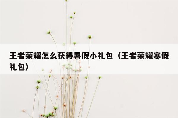 王者荣耀怎么获得暑假小礼包（王者荣耀寒假礼包）