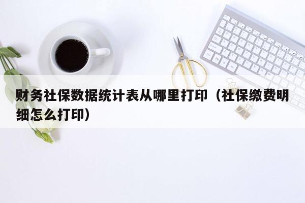 财务社保数据统计表从哪里打印（社保缴费明细怎么打印）