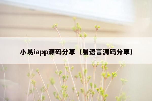小易iapp源码分享（易语言源码分享）