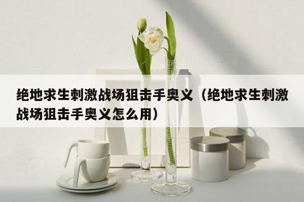 绝地求生刺激战场狙击手奥义（绝地求生刺激战场狙击手奥义怎么用）