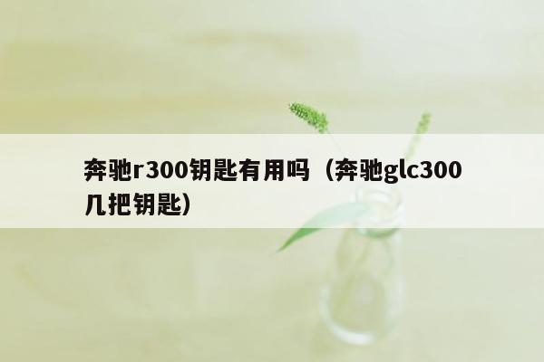 奔驰r300钥匙有用吗（奔驰glc300几把钥匙）