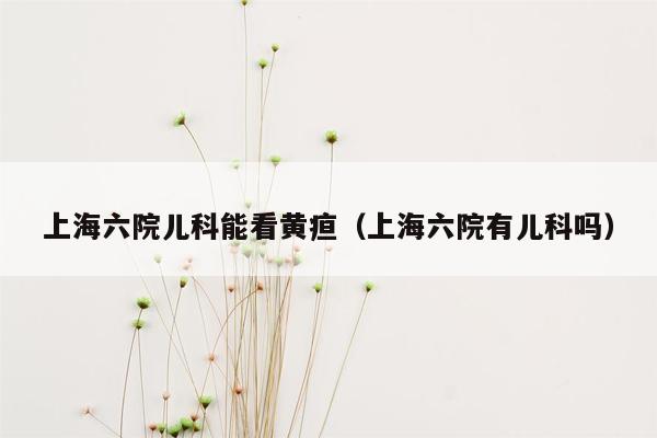 上海六院儿科能看黄疸（上海六院有儿科吗）