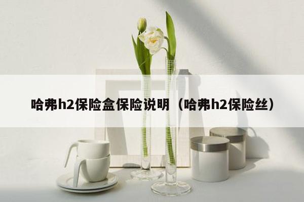 哈弗h2保险盒保险说明（哈弗h2保险丝）