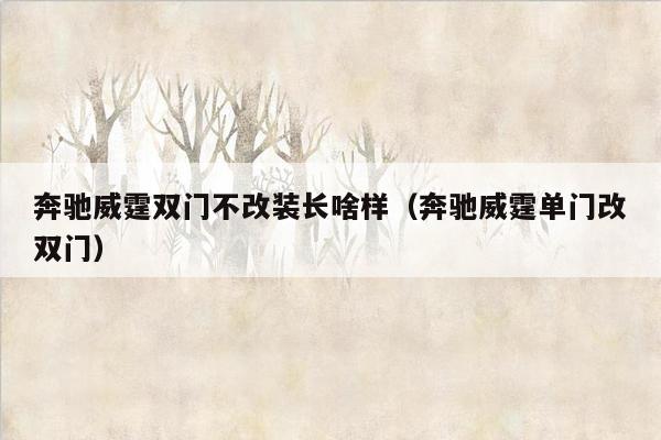 奔驰威霆双门不改装长啥样（奔驰威霆单门改双门）