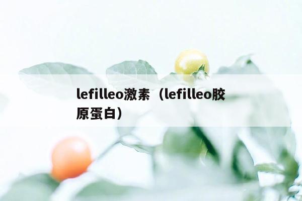 lefilleo激素（lefilleo胶原蛋白）