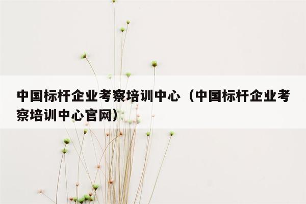 中国标杆企业考察培训中心（中国标杆企业考察培训中心官网）