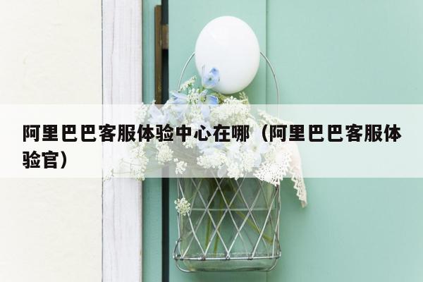 阿里巴巴客服体验中心在哪（阿里巴巴客服体验官）