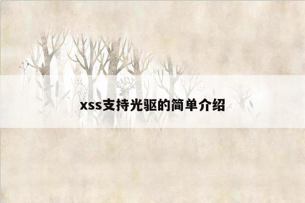 xss支持光驱的简单介绍