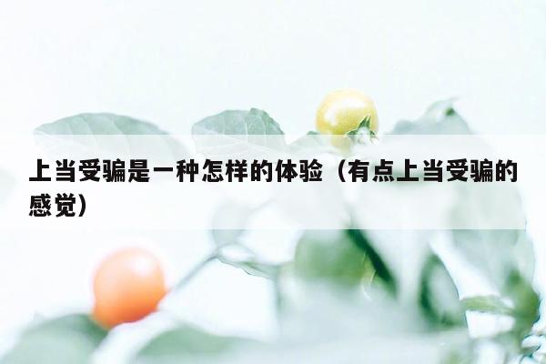 上当受骗是一种怎样的体验（有点上当受骗的感觉）