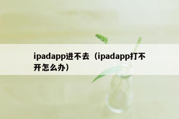 ipadapp进不去（ipadapp打不开怎么办）