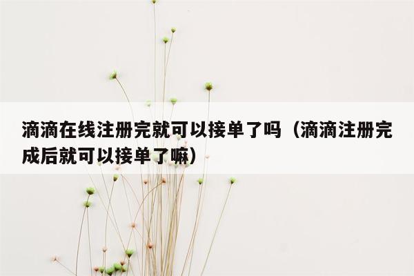 滴滴在线注册完就可以接单了吗（滴滴注册完成后就可以接单了嘛）