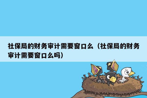 社保局的财务审计需要窗口么（社保局的财务审计需要窗口么吗）