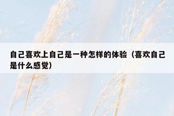 自己喜欢上自己是一种怎样的体验（喜欢自己是什么感觉）