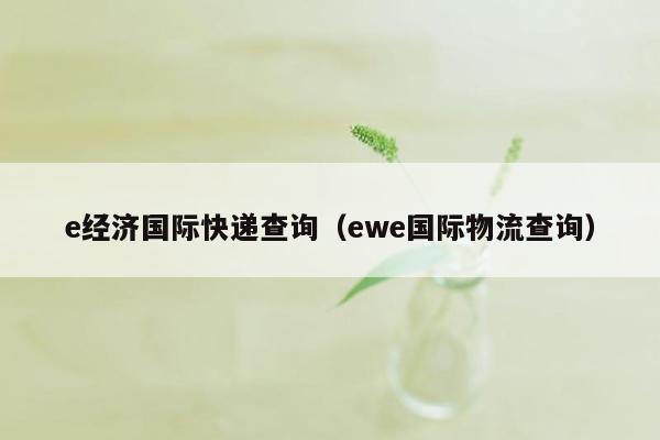 e经济国际快递查询（ewe国际物流查询）