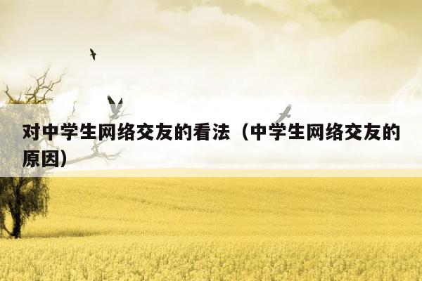 对中学生网络交友的看法（中学生网络交友的原因）