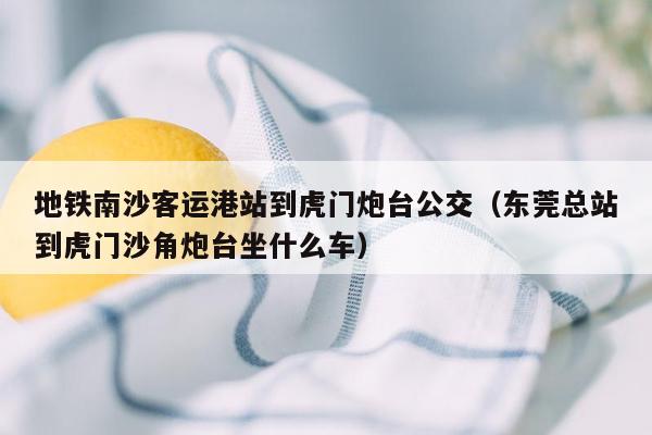 地铁南沙客运港站到虎门炮台公交（东莞总站到虎门沙角炮台坐什么车）