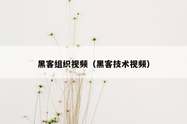 黑客组织视频（黑客技术视频）