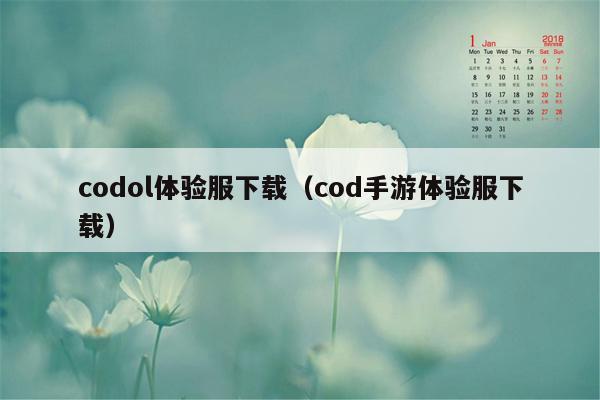 codol体验服下载（cod手游体验服下载）