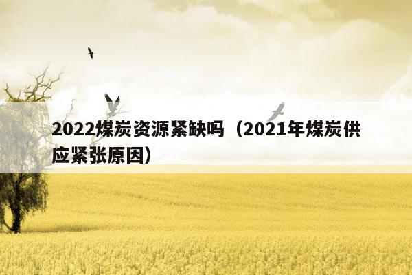 2022煤炭资源紧缺吗（2021年煤炭供应紧张原因）