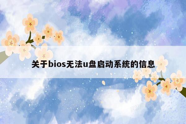 关于bios无法u盘启动系统的信息