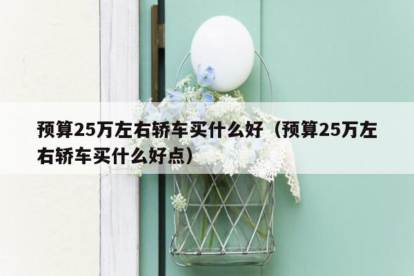 预算25万左右轿车买什么好（预算25万左右轿车买什么好点）